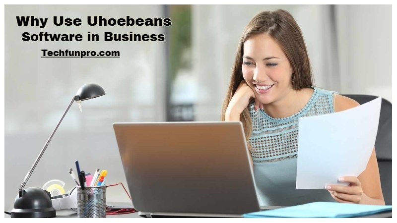 Why Use Uhoebeans Software in Business